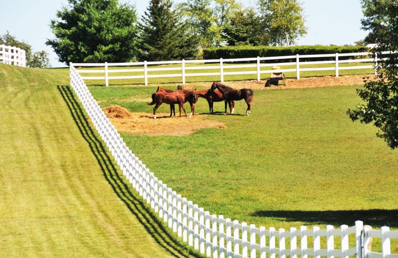 Horse Fence Replacement in Sacramento, CA
